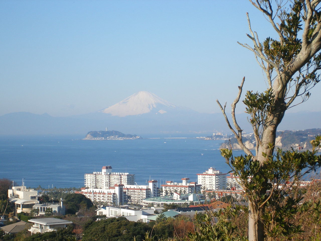 事務所近くから富士山の遠望